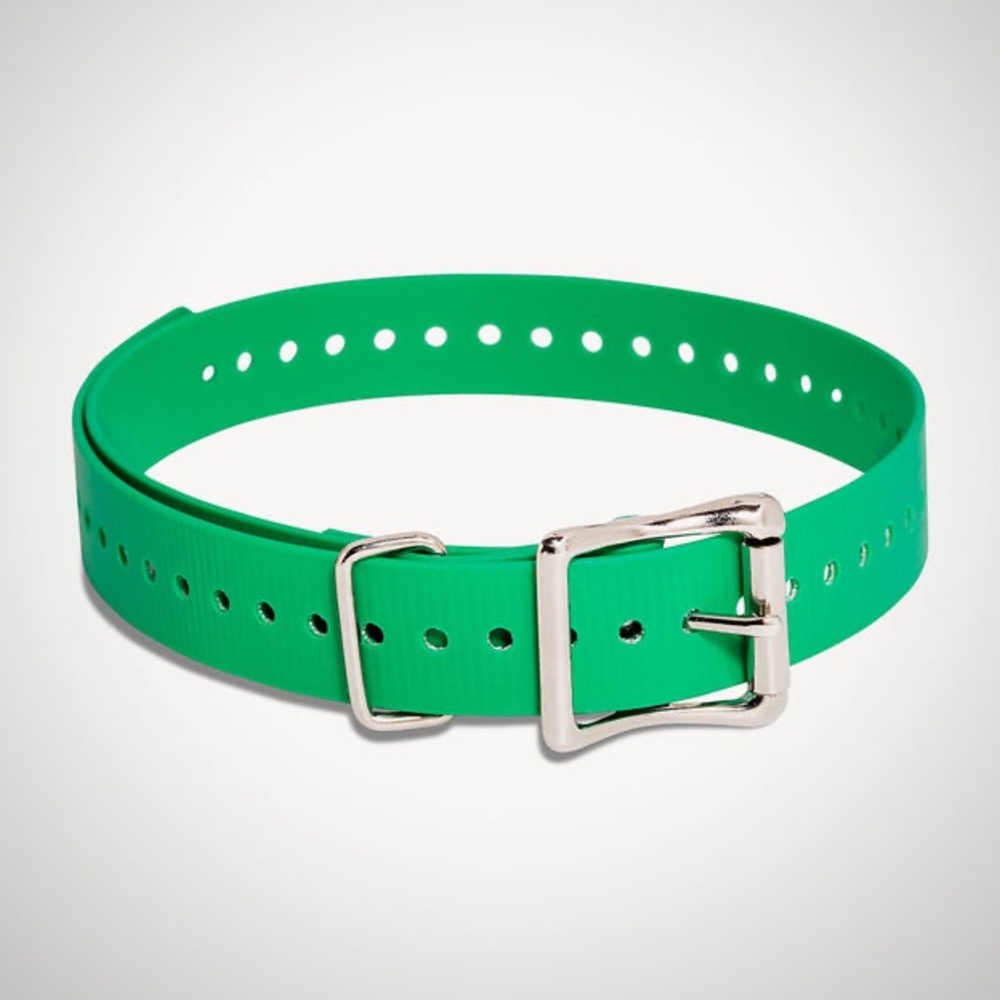 Replacement 1 inch Collar Straps SportDog Collar Strap Green